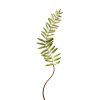 Regency Floral | Narrow Fern Frond 48"