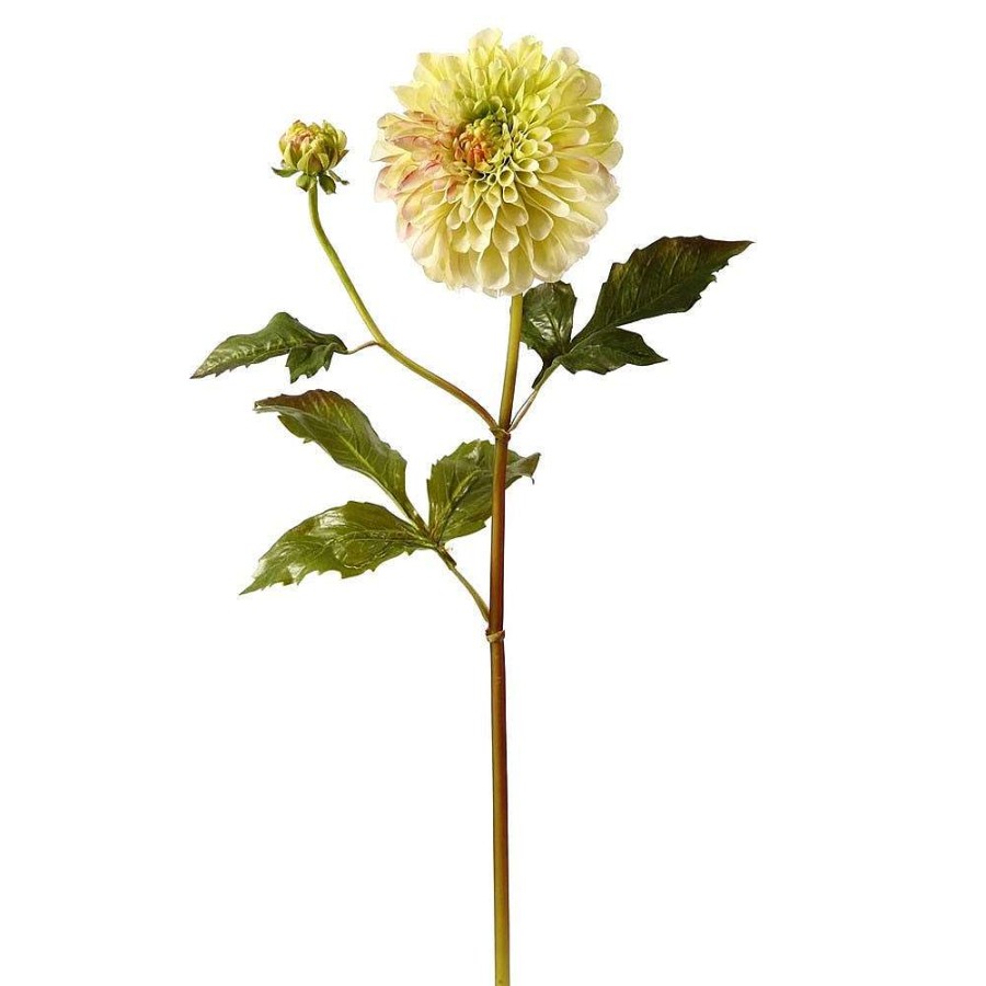 Winward Spring | Dahlia Stem, Light Green