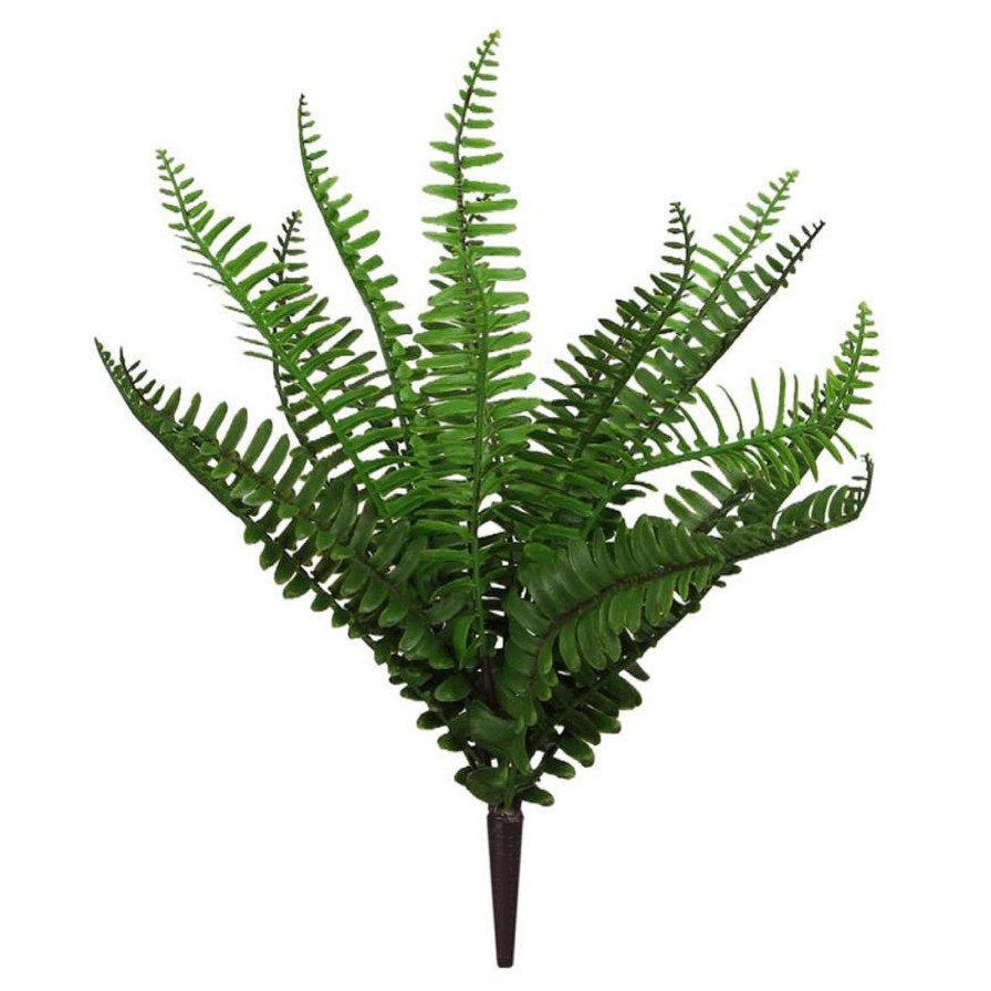 Craig Bachman Floral | Mixed Fern Bush