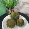 CRI Greenery | Moss Orb 4"