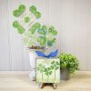 The Round Top Collection Wall Decor | St. Patrick'S Clovers Mini Gallery Art