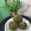 CRI Table Decor | Moss Orb 5"