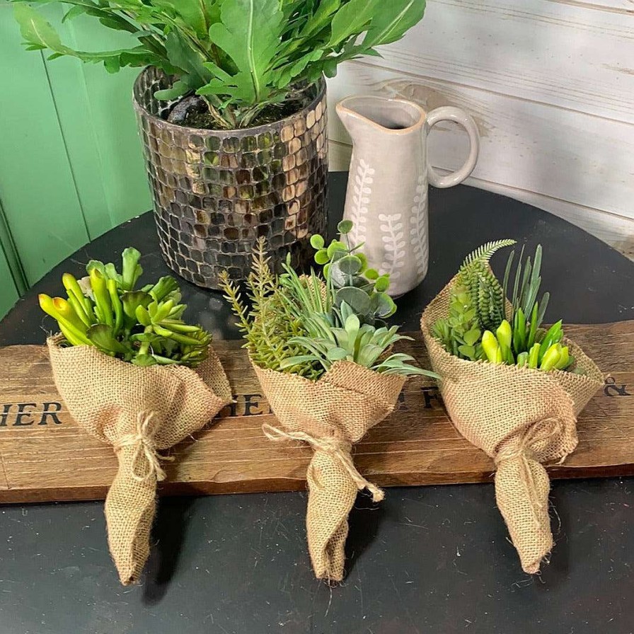 CRI Succulents | Succulent Bouquet Three Piece Set