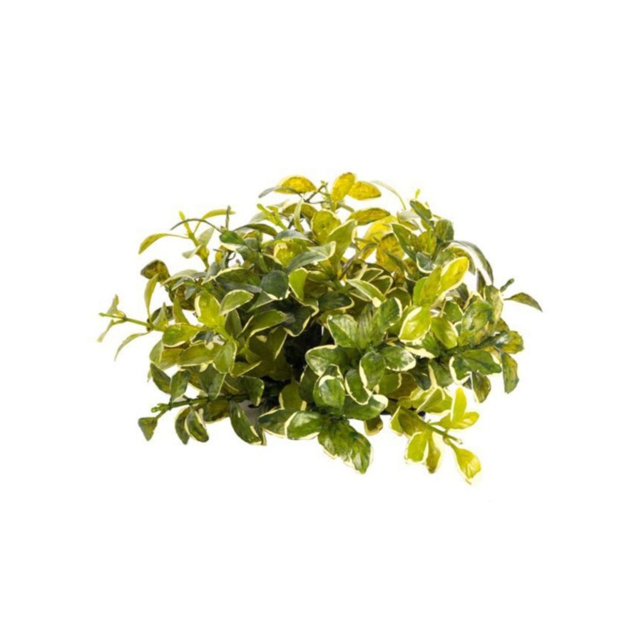 CRI Faux Plants | Small Privet Half Topper