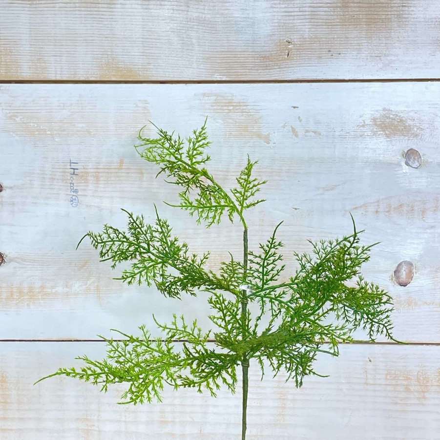 CRI Floral Decor | Asparagus Fern Spray