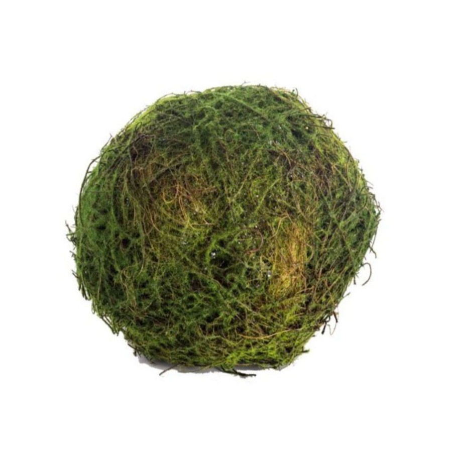 CRI Greenery | Moss Orb 5"