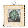 The Round Top Collection Table Decor | Pie Crust Photo Frame, Cream Mini Gallery Art