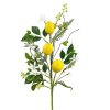 Liberty Floral Floral | Lemon Spray