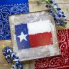 The Round Top Collection Focal Points | Hamilton Texas Flag Gallery Art