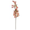 K&K Interiors Sprays | Orange Rosehip Stem