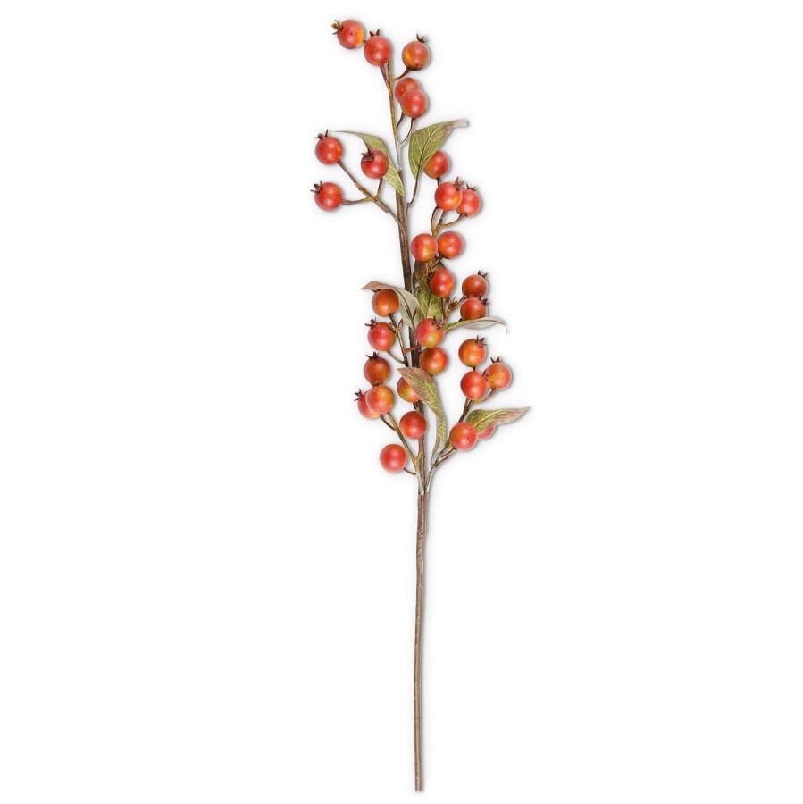 K&K Interiors Sprays | Orange Rosehip Stem