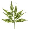 Liberty Floral Floral | Short Fern Spray