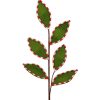 Regency Sprays | Felt Leaf With Peppermint Edge Spray