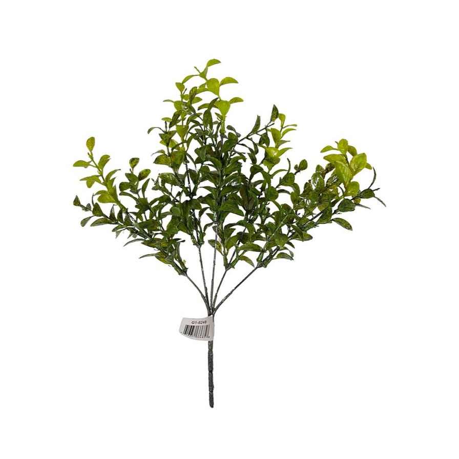 CRI Floral | Privet Bush