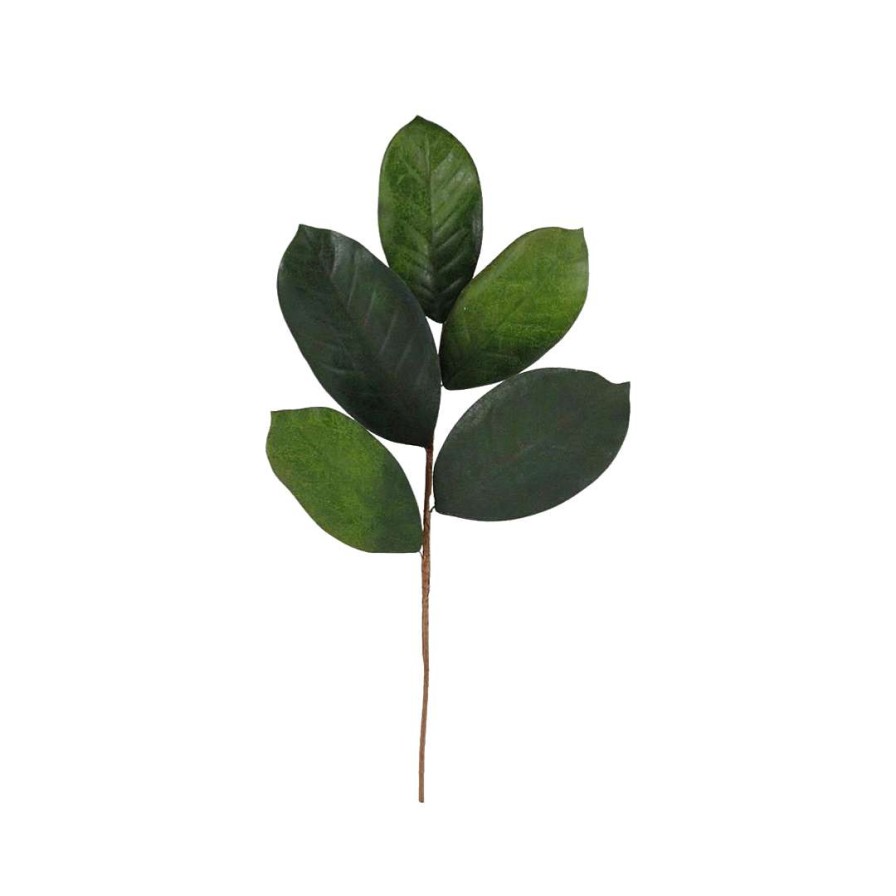 Craig Bachman Greenery | Magnolia Leaf Pick