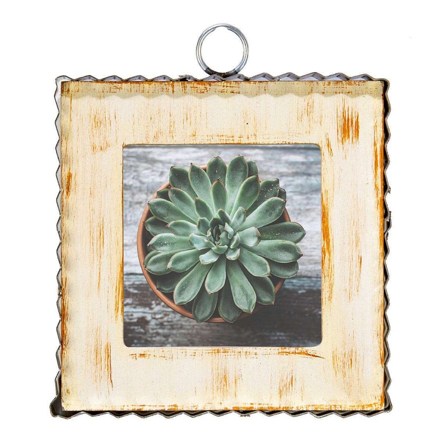 The Round Top Collection Wall Decor | Pie Crust Photo Frame, Cream Mini Gallery Art