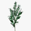 Direct Export Co. Floral | Green Metallic Tinsel Spray