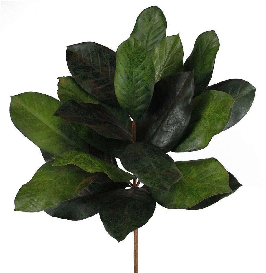 Craig Bachman Floral | Magnolia Leaf Bush Pick