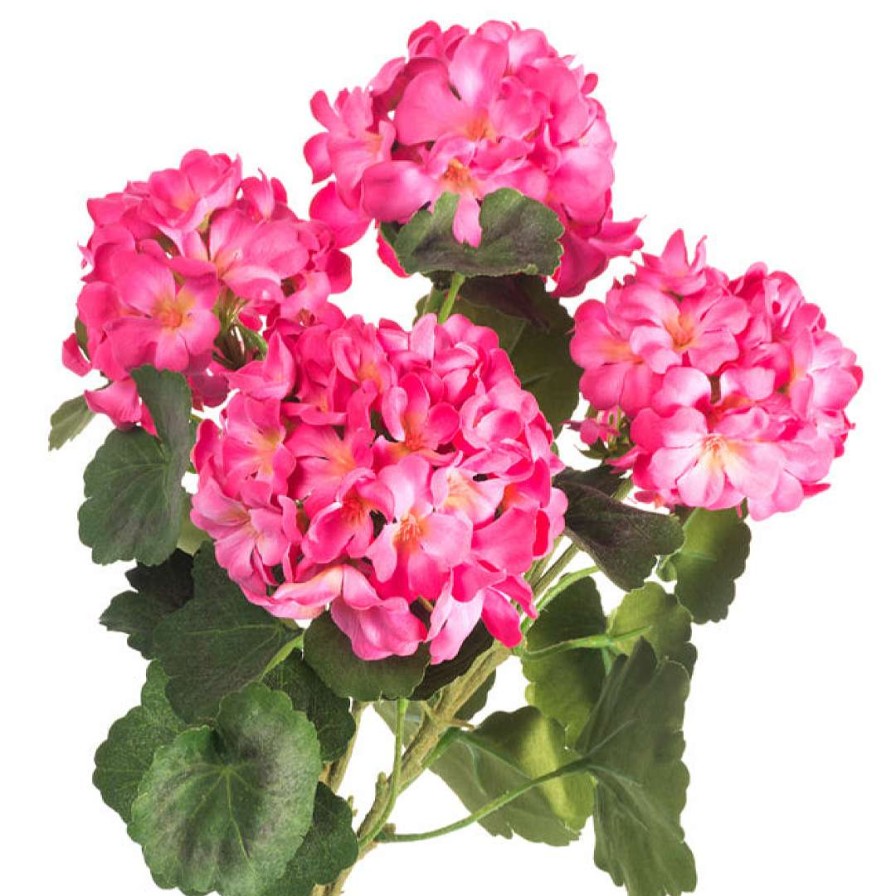 CRI Floral | Geranium Bundle, Dark Pink