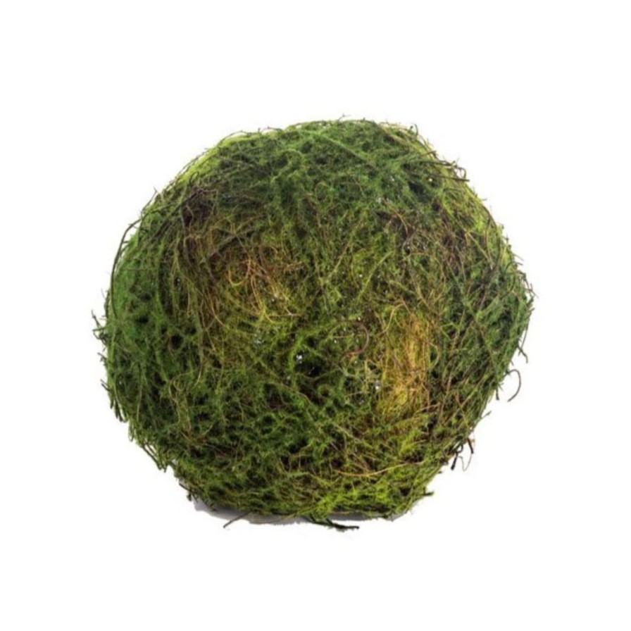 CRI Floral Decor | Moss Orb 5"