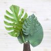 Liberty Floral Stems | Split Philo Leaf Large Stem