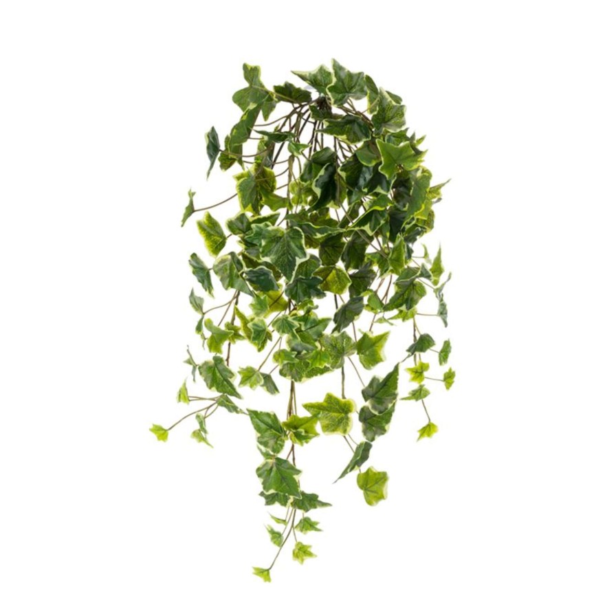 CRI Greenery | Hanging Ivy Varigated, 28"