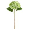 RAZ Stems | Real Touch Green Hydrangea Stem, 20.5"