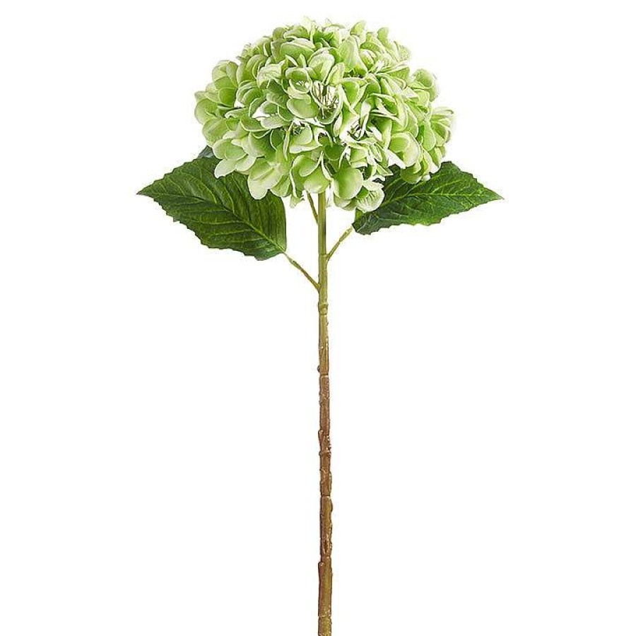 RAZ Stems | Real Touch Green Hydrangea Stem, 20.5"