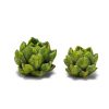 Two's Company Spring | Artichoke Candle Set