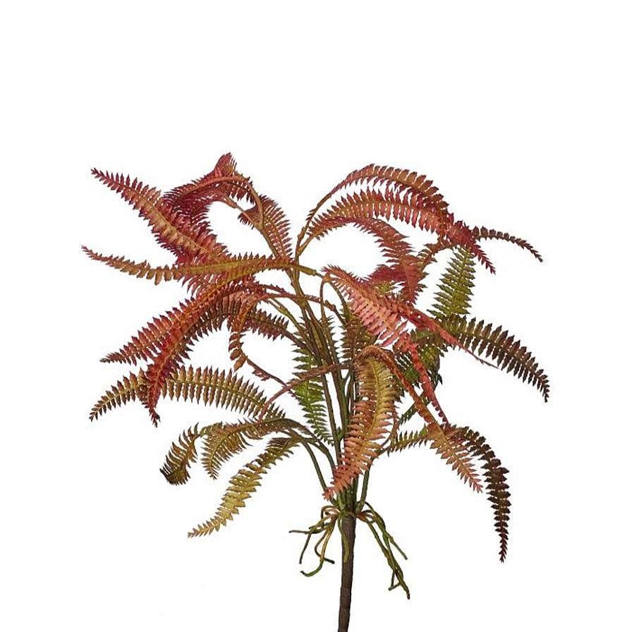 Regency Floral | Rose Green Feather Fern Plant