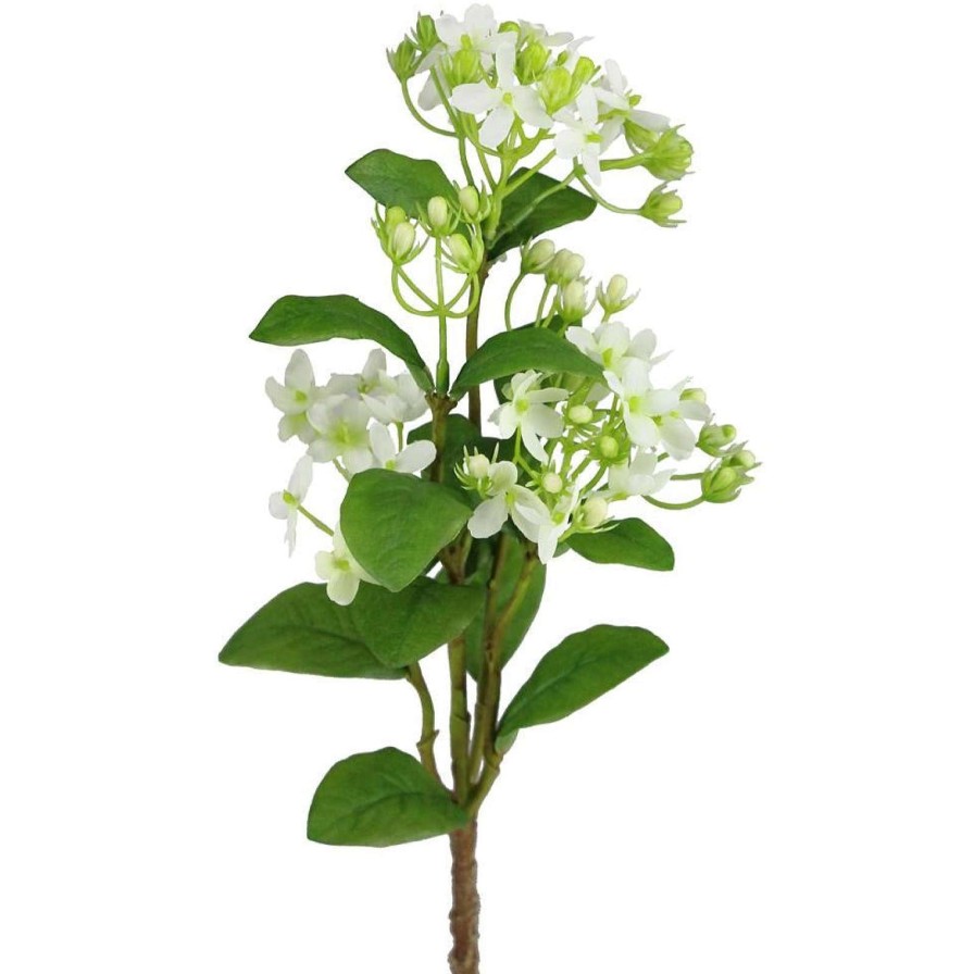 Craig Bachman Spring Picks | Wild Mini Hydrangea Pick