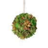 Regency Succulents | Larger Green Brown Succulent Orb