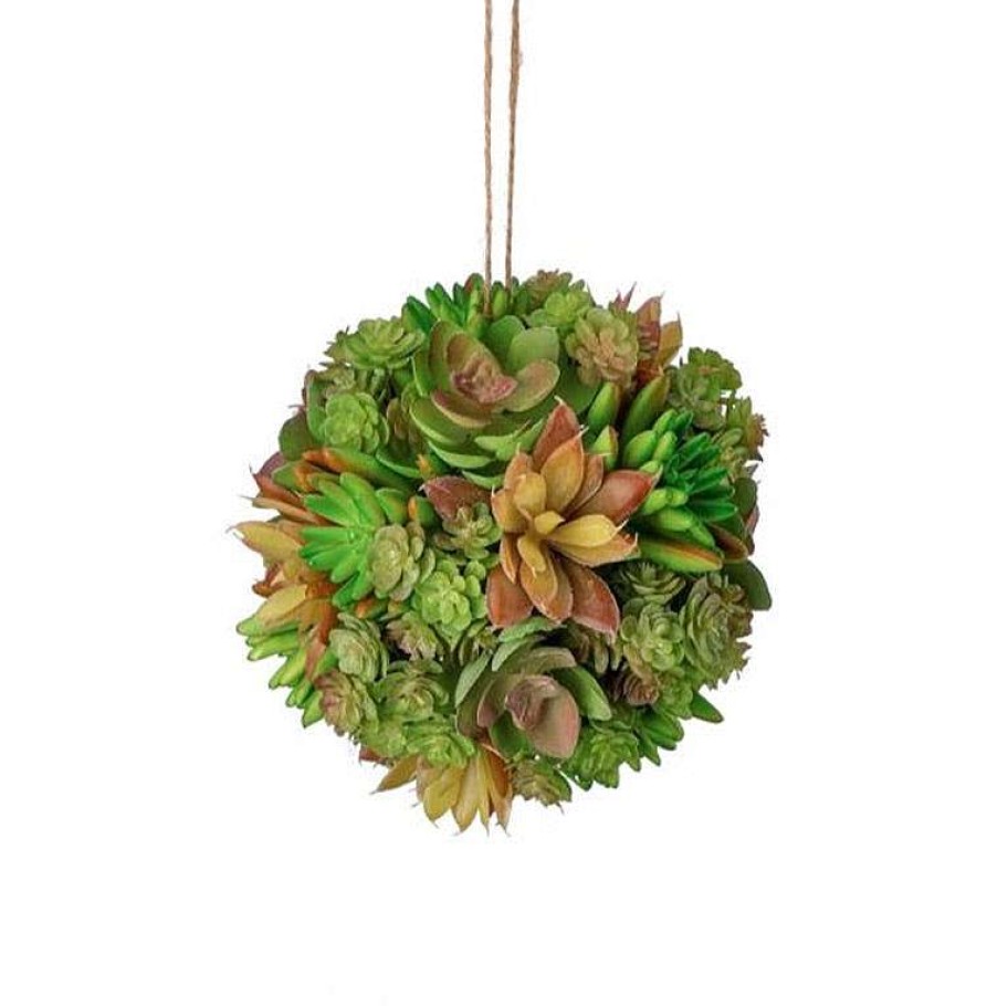 Regency Succulents | Larger Green Brown Succulent Orb