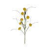 Liberty Floral Floral | Yellow Queen Ann Grass Spray