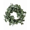 Regency Wreaths | Silver Dollar Eucalyptus Wreath, 24"