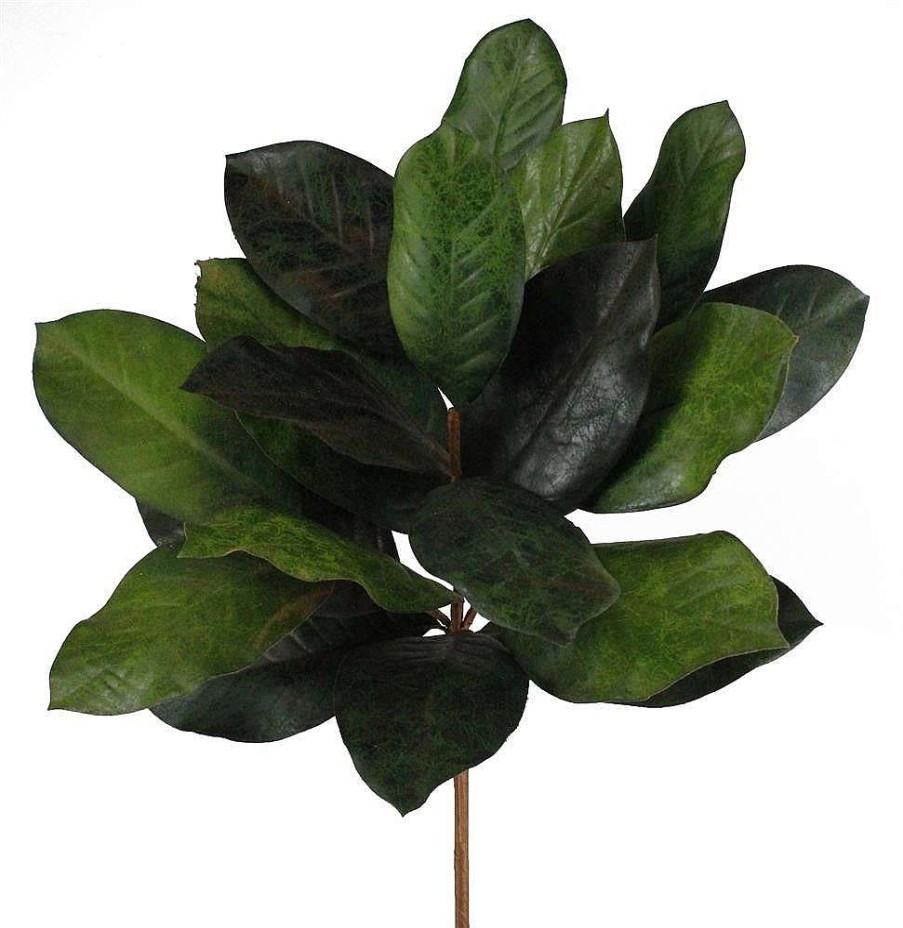 Craig Bachman Floral Decor | Magnolia Leaf Bush Pick