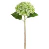 RAZ Spring | Real Touch Green Hydrangea Stem, 20.5"