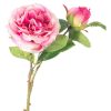 CRI Floral Decor | Cabbage Rose Pick, Dark Pink