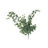 CRI Table Decor | Large Variegated Ivy