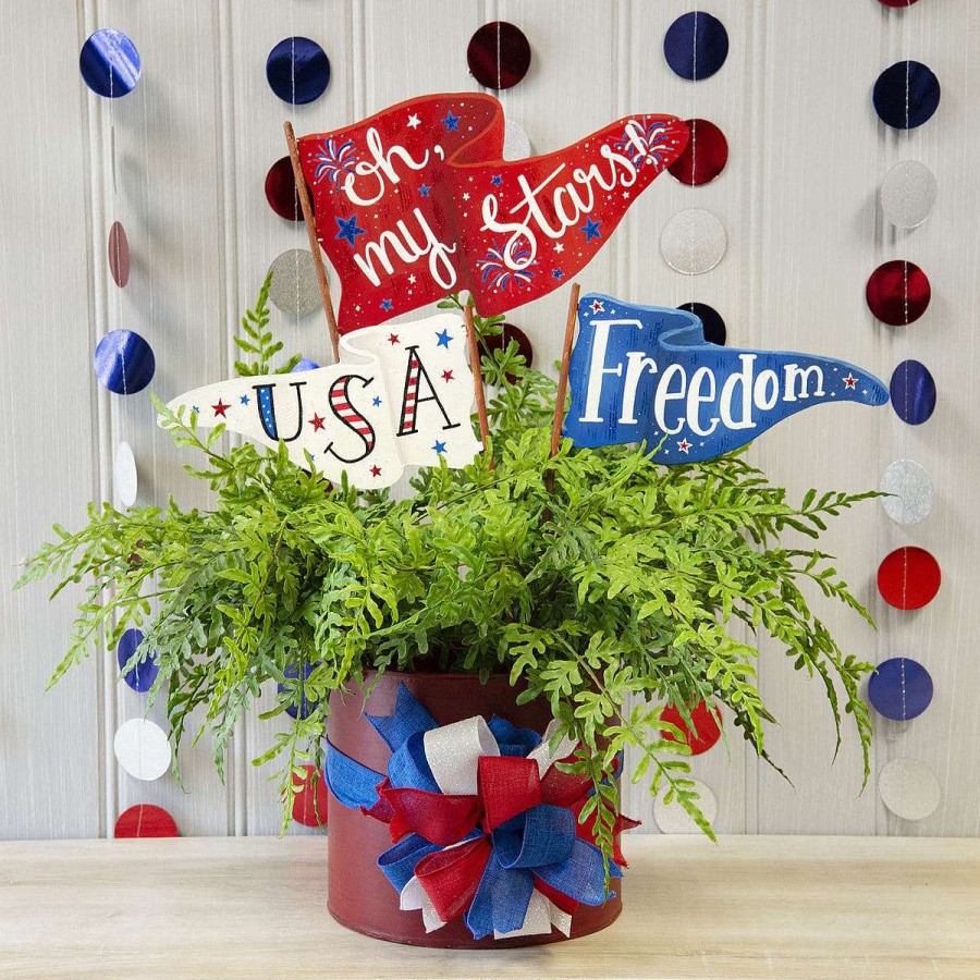 The Round Top Collection Focal Points | Oh My Stars Pennant Flag