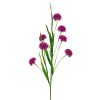 Liberty Floral Spring | Purple Queen Ann Grass Spray