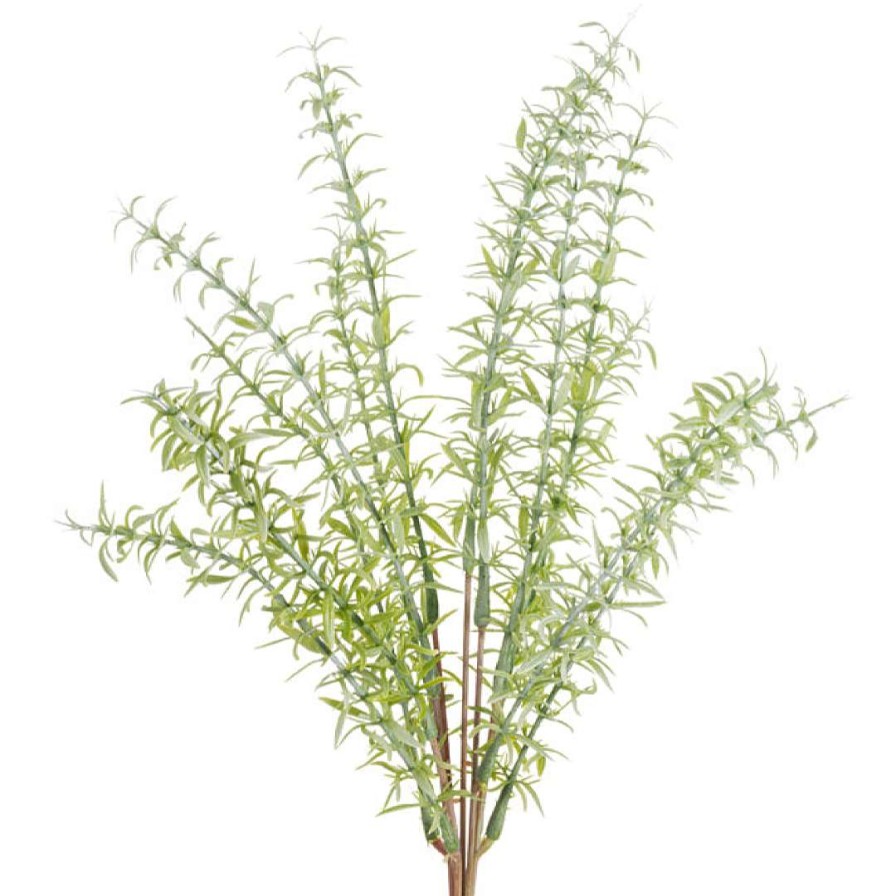 CRI Spring Sprays | Asparagus Fern Bundle