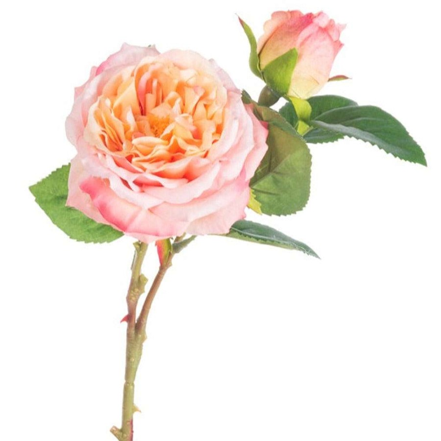 CRI Spring | Cabbage Rose Pick, Salmon