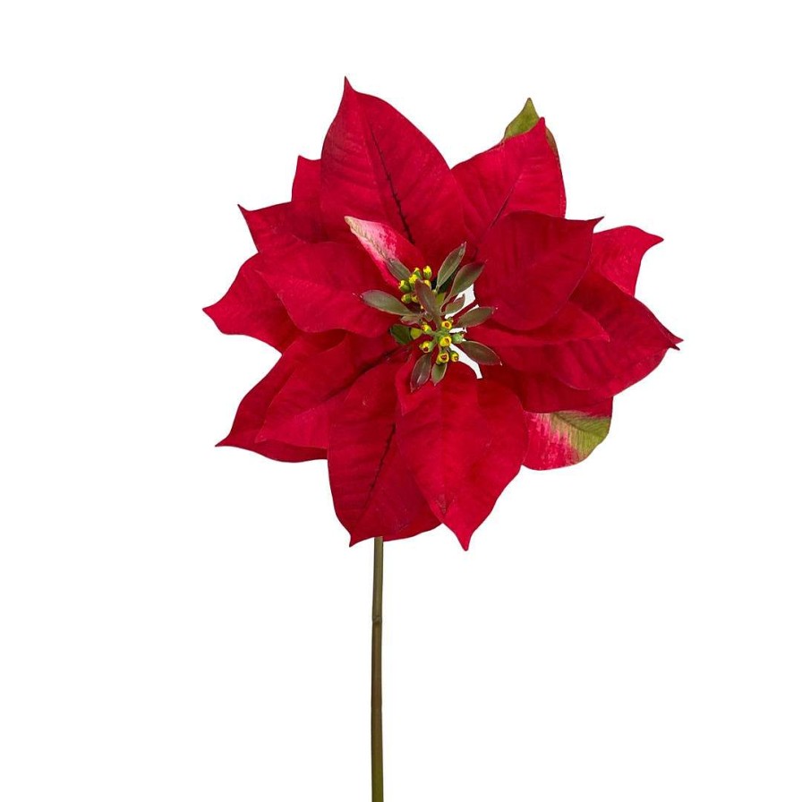 Direct Export Co. Stems | Natural Poinsettia Stem