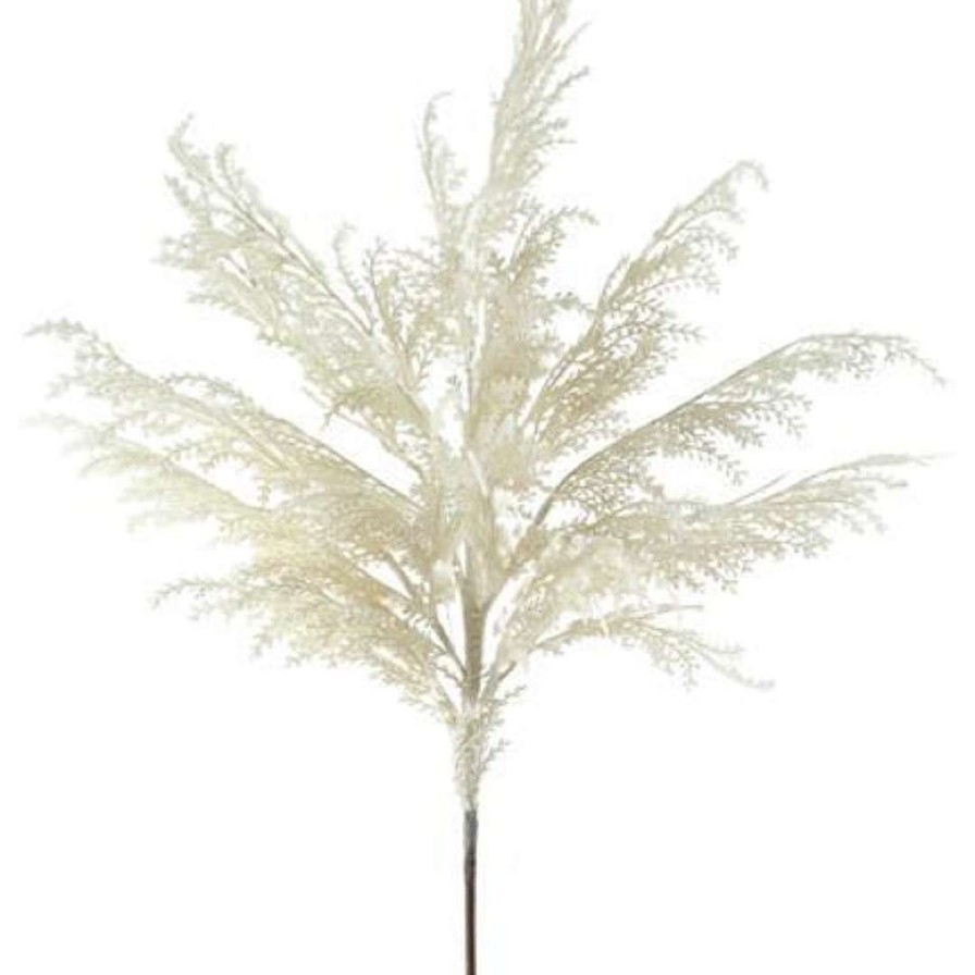 Craig Bachman Floral | Pampas Grass Plume Spray