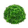 Liberty Floral Spring | Boxwood Half Ball