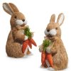 RAZ Focal Points | Bunny With Carrots, Small