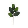 Craig Bachman Floral Decor | Magnolia Leaf Pick