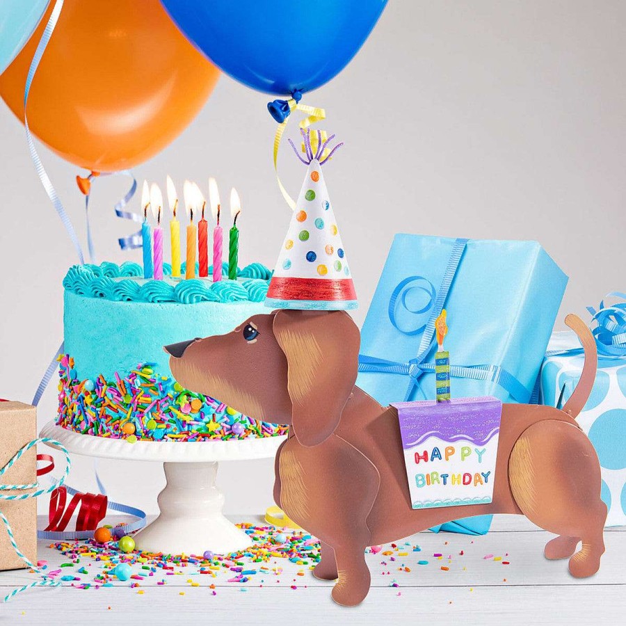 The Round Top Collection Celebrate Birthday | Dress Up Pet, Birthday Costume