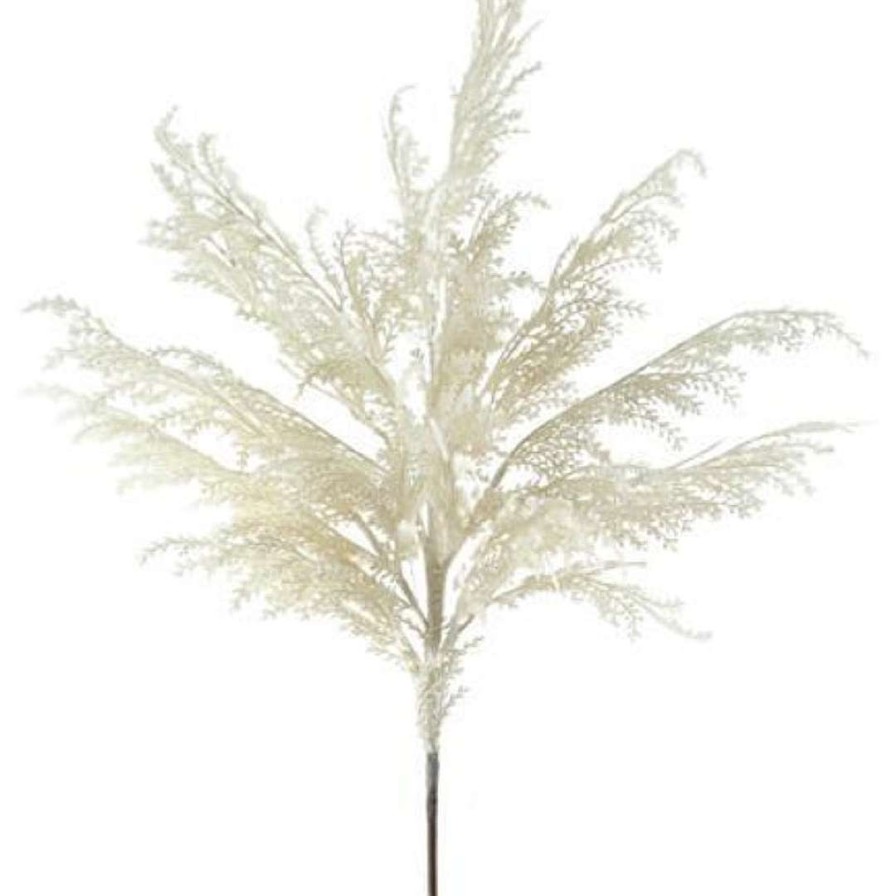 Craig Bachman Floral Decor | Pampas Grass Plume Spray